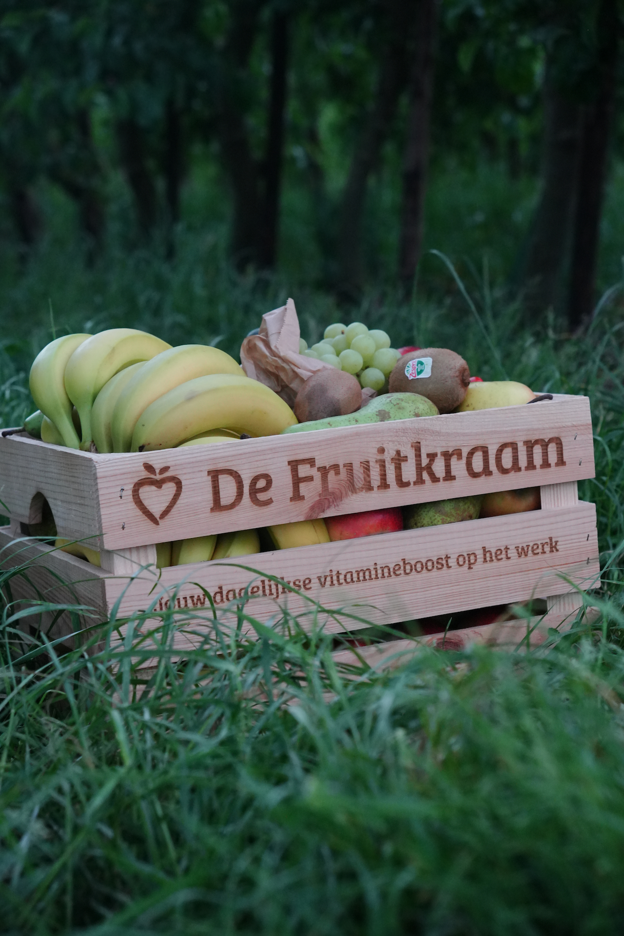 Houten kist van De Fruitkraam vol fruit, in het gras